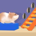 Hamster Stack Maze 4 hamster stack maze